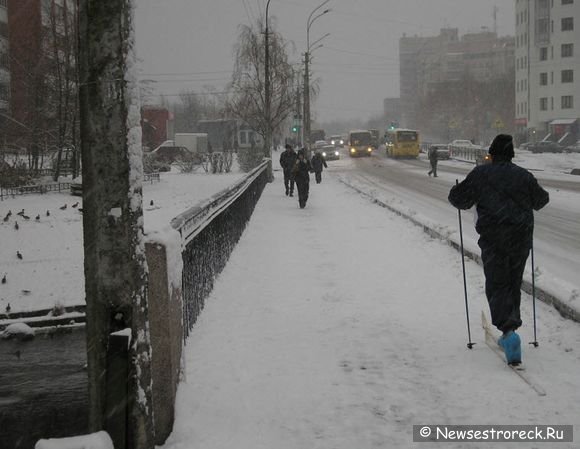 Сестроорецк завалило снегом.