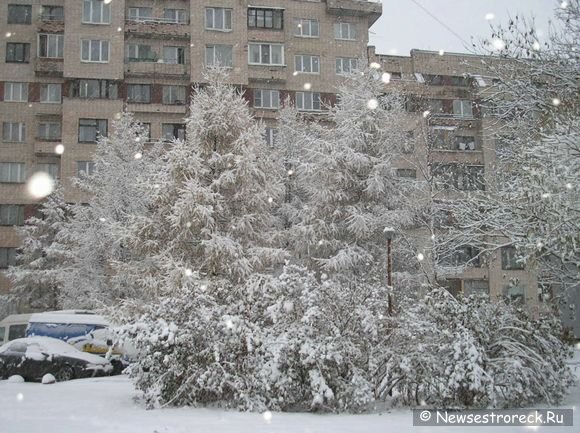 Сестроорецк завалило снегом.