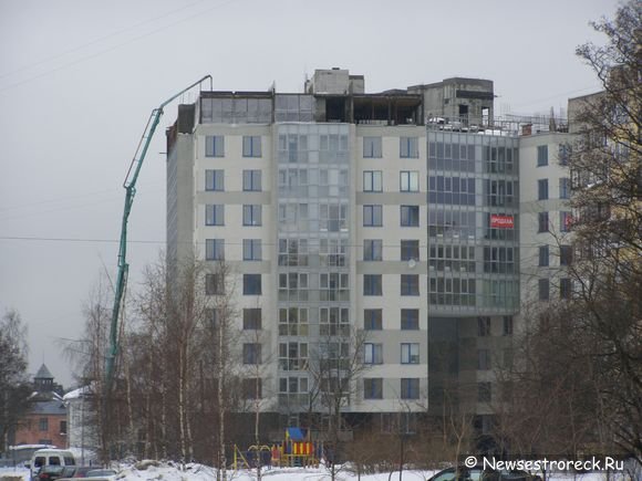 В Сестрорецк прискакала «Хромая лошадь»?