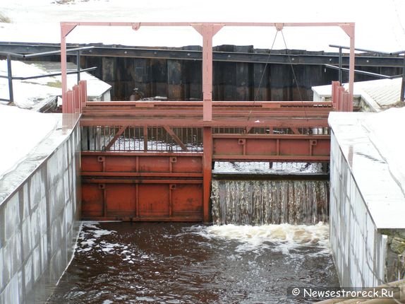 Аквариум в ценре Сестрорецка Аквариум в ценре Сестрорецка