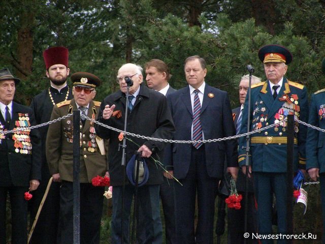 Праздничное шествие и церемония возложения венков.  9 мая 2010 Сестрорецк.