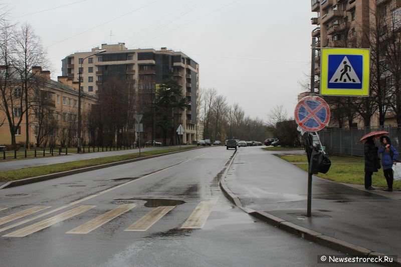 Автовладельцев ждут большие сюрпризы на улицах Сестрорецка