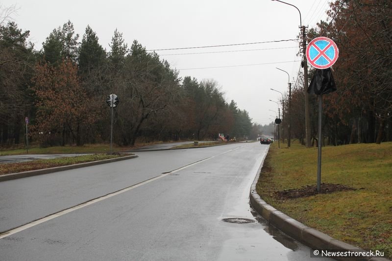 Автовладельцев ждут большие сюрпризы на улицах Сестрорецка