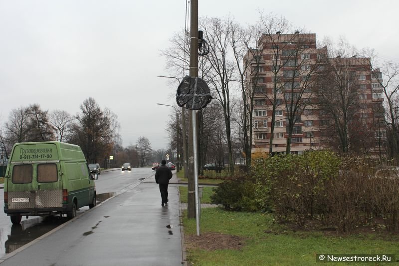 Автовладельцев ждут большие сюрпризы на улицах Сестрорецка