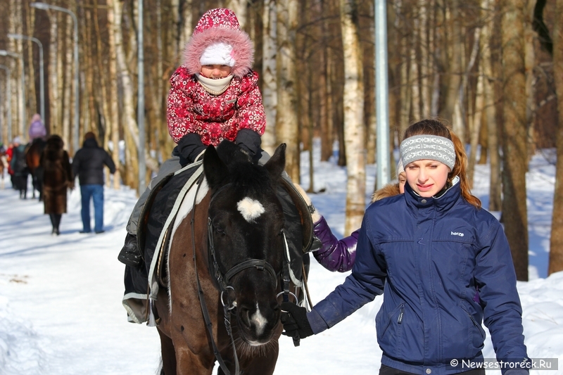 Сестрорецк провожал зиму под Gangman Style