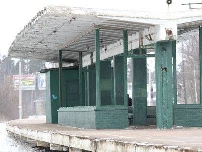 В лесу у Лисьего Носа нашли украинца с проломленной головой В лесу у Лисьего Носа нашли украинца с проломленной головой