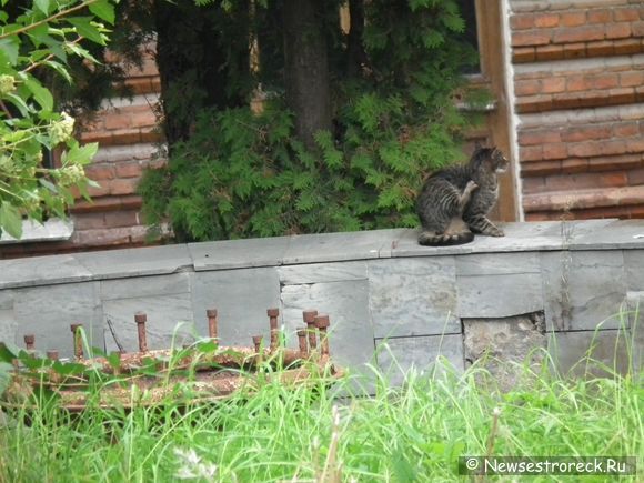 У завода им.Воскова убрали часть забора