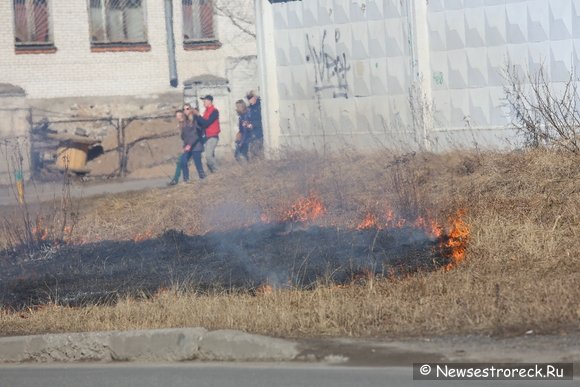 На наб.реки Сестры, д.16 произошло возгорание сухой травы