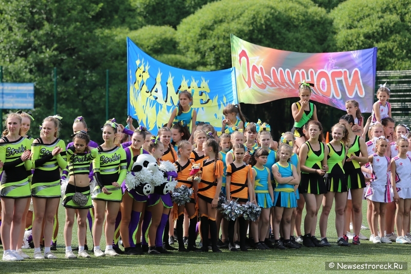 В Сестрорецке прошел открытый Кубок по черлидингу «CHEER OPEN»