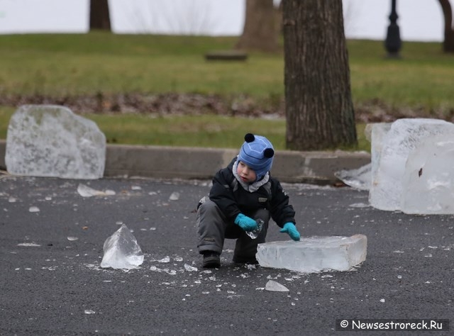 На площади Свободы начали возводить ледяной городок На площади Свободы начали возводить ледяной городок