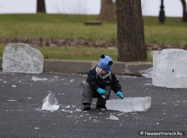 На площади Свободы начали возводить ледяной городок