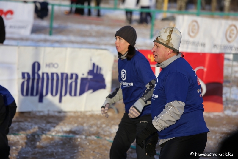 В Сестрорецке состоялся турнир по волейболу на снегу «Snow Volley Christmas-2015»