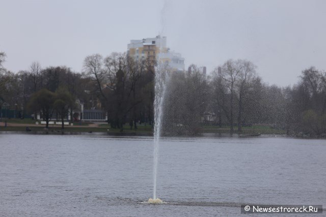 На озере Разлив включили фонтан