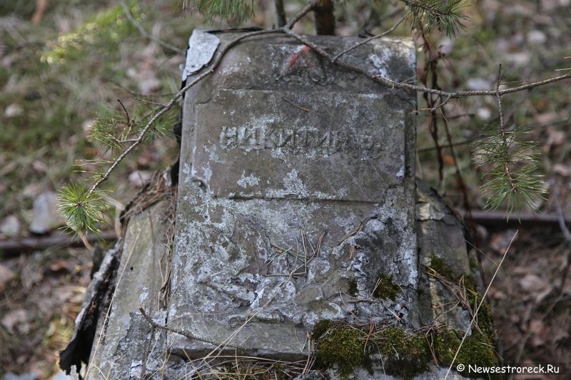 Могилы погибших на воскреснике 1-го августа 1920 года