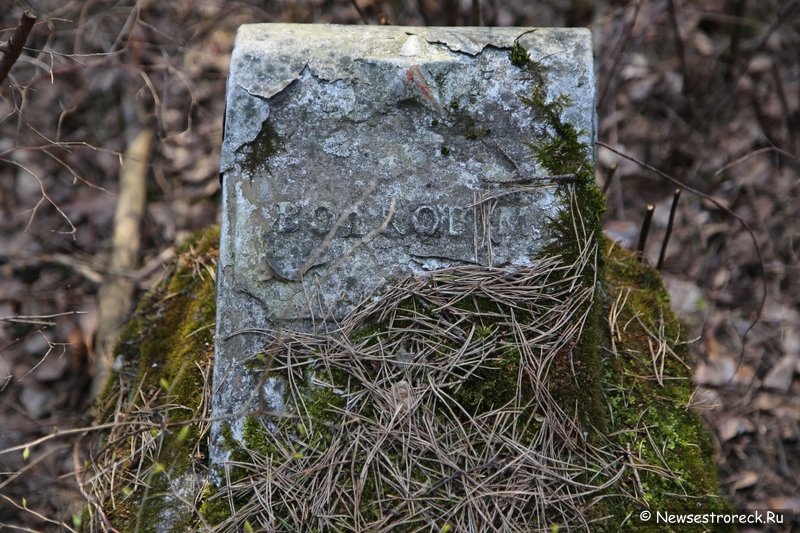 Могилы погибших на воскреснике 1-го августа 1920 года