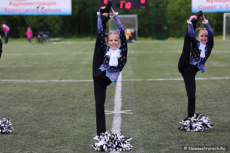 В Сестрорецке прошел открытый Кубок по черлидингу «CHEER OPEN - 2015»