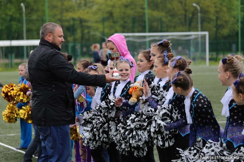 В Сестрорецке прошел открытый Кубок по черлидингу «CHEER OPEN - 2015»