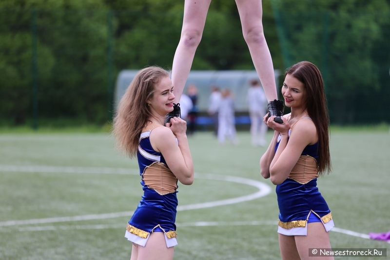 В Сестрорецке прошел открытый Кубок по черлидингу «CHEER OPEN - 2015»