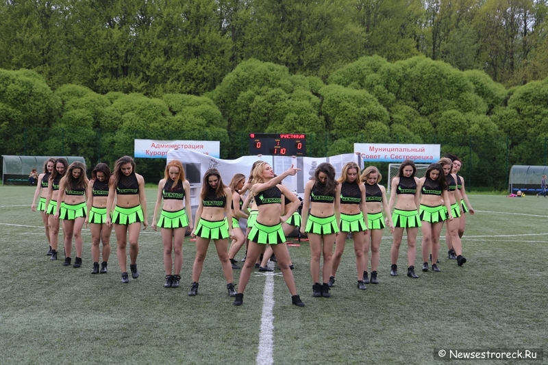 В Сестрорецке прошел открытый Кубок по черлидингу «CHEER OPEN - 2015»