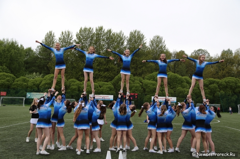 В Сестрорецке прошел открытый Кубок по черлидингу «CHEER OPEN - 2015»