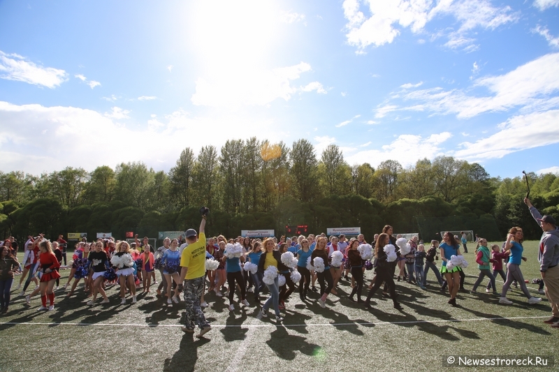 В Сестрорецке прошел открытый Кубок по черлидингу «CHEER OPEN - 2015»