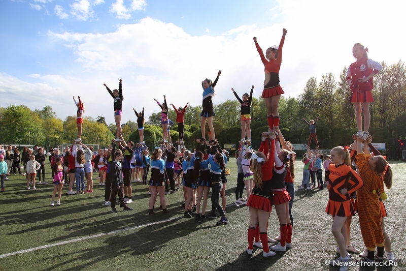 В Сестрорецке прошел открытый Кубок по черлидингу «CHEER OPEN - 2015»