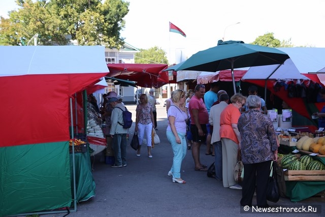 Выездная ярмарка в Сестрорецке