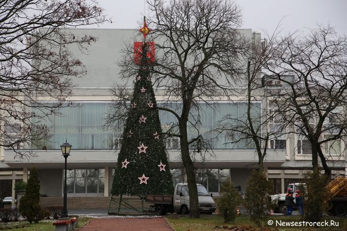 В Сестрорецке ставят новогодние ёлки