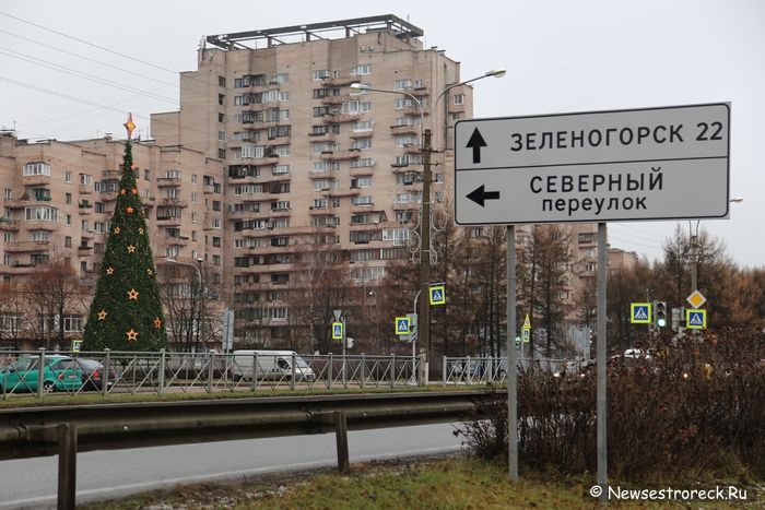 В Сестрорецке ставят новогодние ёлки В Сестрорецке ставят новогодние ёлки