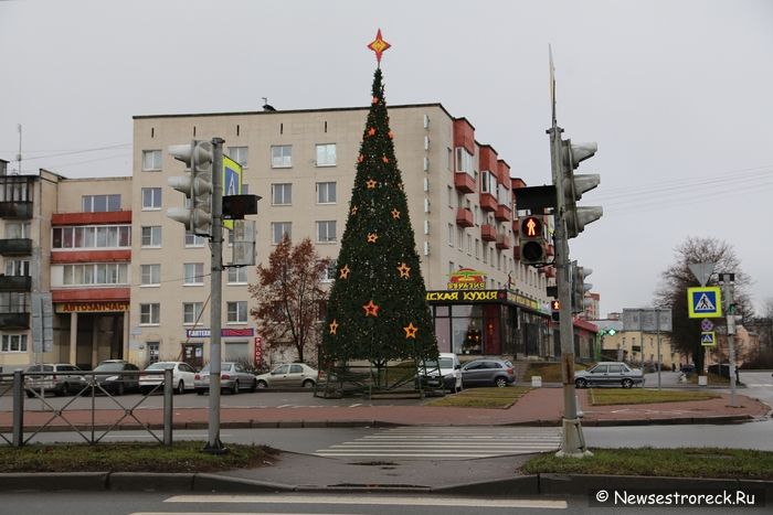 В Сестрорецке ставят новогодние ёлки В Сестрорецке ставят новогодние ёлки