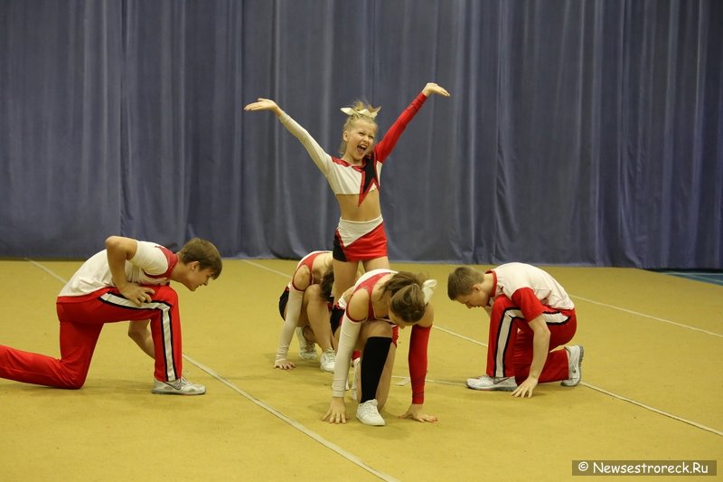 Турнир по черлидингу «CHEER OPEN - 2016» прошел в Сестрорецке