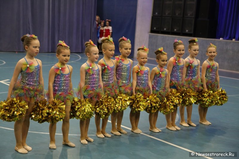 Турнир по черлидингу «CHEER OPEN - 2016» прошел в Сестрорецке