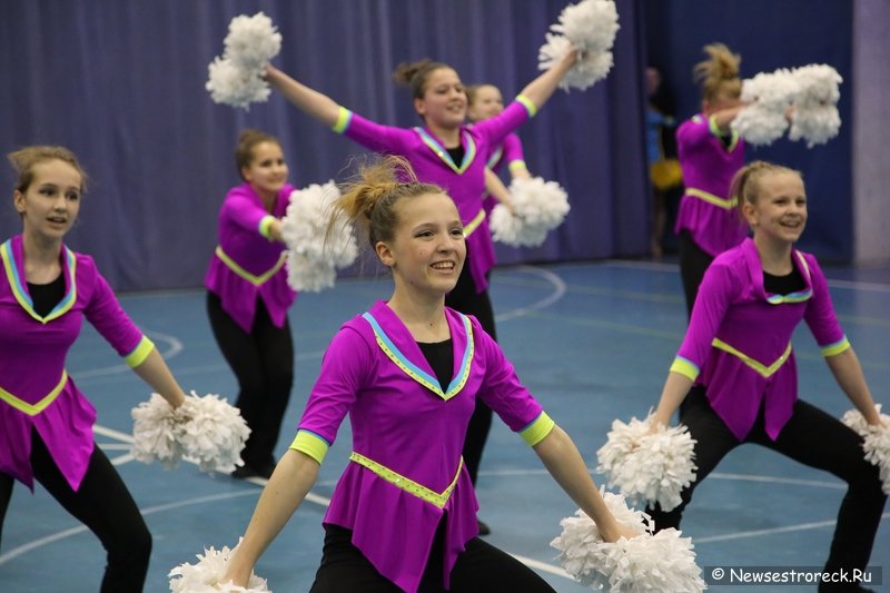 Турнир по черлидингу «CHEER OPEN - 2016» прошел в Сестрорецке