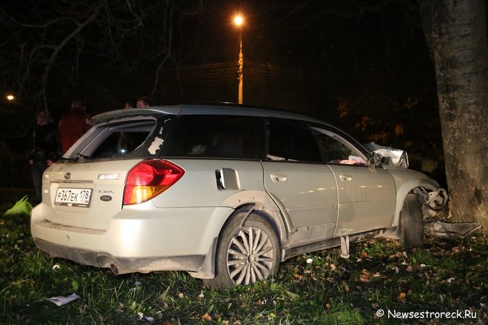 В Сестрорецке автомобиль «Субару» врезался в дерево В Сестрорецке автомобиль «Субару» врезался в дерево