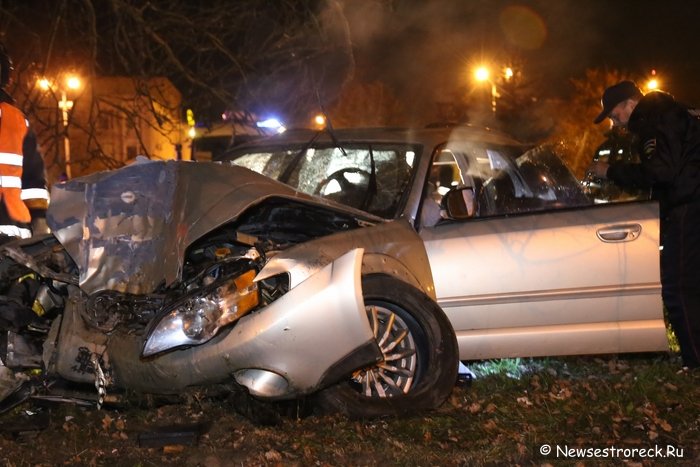 В Сестрорецке автомобиль «Субару» врезался в дерево В Сестрорецке автомобиль «Субару» врезался в дерево