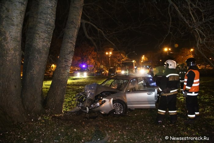 В Сестрорецке автомобиль «Субару» врезался в дерево В Сестрорецке автомобиль «Субару» врезался в дерево