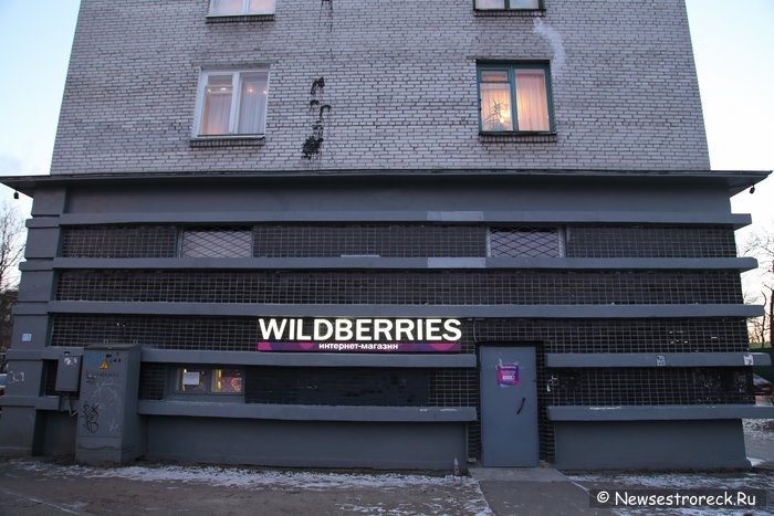 Интернет-магазин Wildberries в Сестрорецке