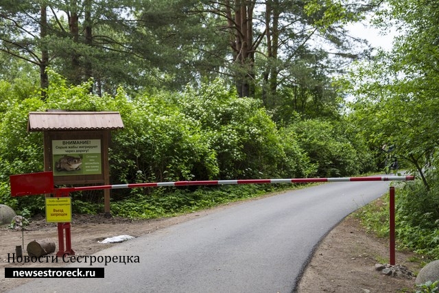Глухое озеро Сестрорецк
