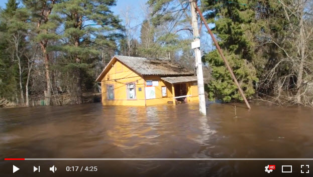 В Сестрорецке большая вода залила садоводства