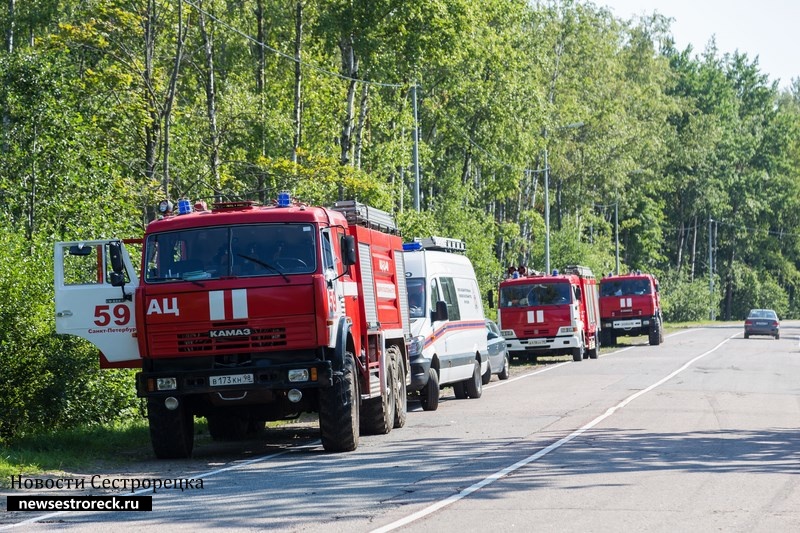 Пожарные продолжают устранять последствия вчерашнего пожара в лесу