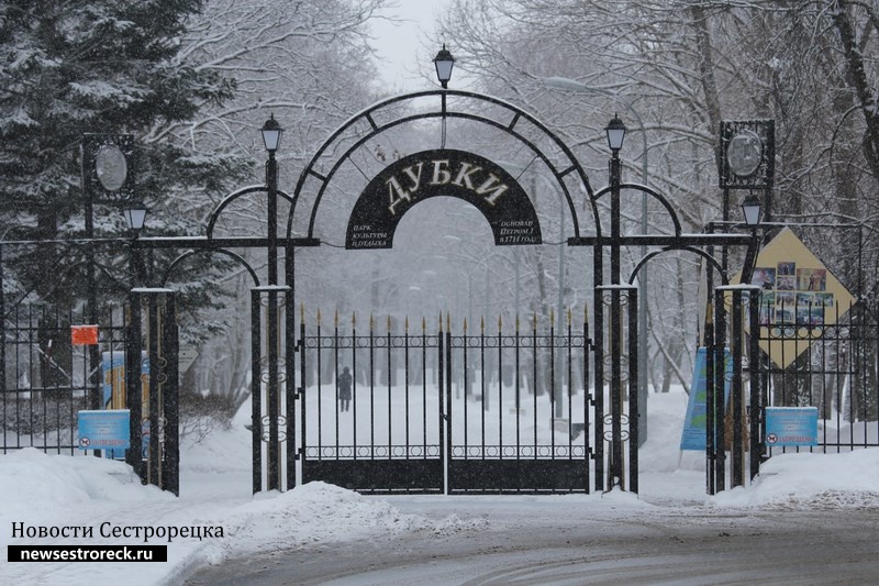 В Сестрорецке «заминировали» парк "Дубки"