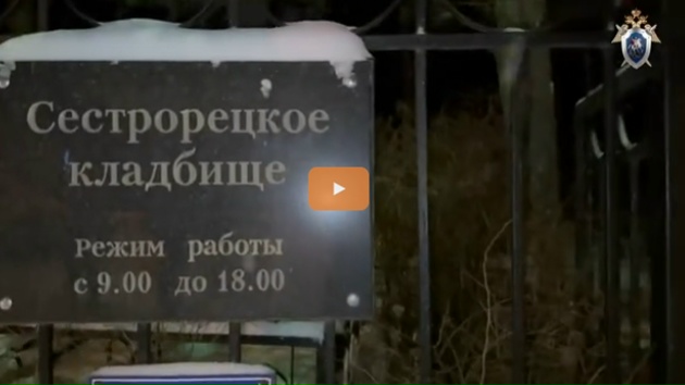 За секс на могиле матери задержана блогерша из Сестрорецка и ее любовник